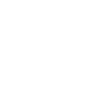 Capital